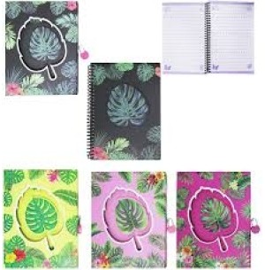 DIÁRIO CADEADO 17X22CM FOLHA