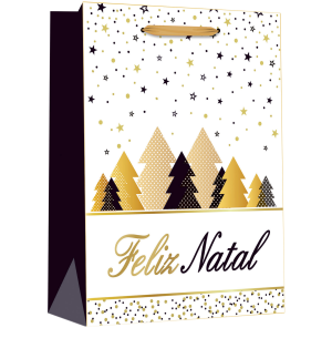 SACOLA PRESENTE 30X40CM