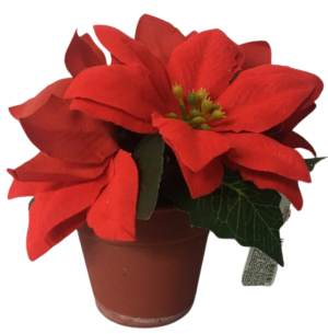 VASO FLOR BICO DE PAPAGAIO X3 6CM