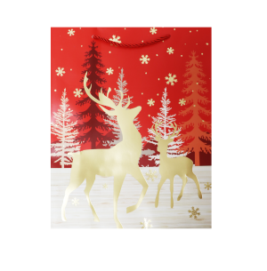 SACOLA PRESENTE 30X40CM