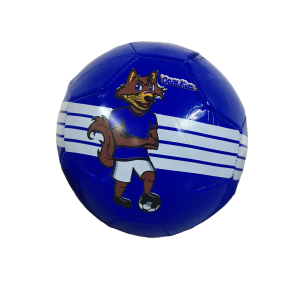 BOLA FUTEBOL TAM.5 278GR