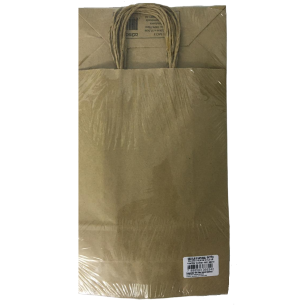SACOLA KRAFT 22X10X31CM 10UN NATURAL