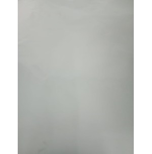 PAPEL COUCHE 50X60 20FLS PRATA