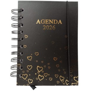 AGENDA ESP.2026 168FLS 11X15CM