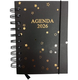AGENDA ESP.2026 168FLS 11X15CM