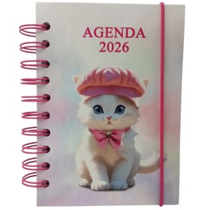 AGENDA ESP.2026 168FLS 14X19CM GATO
