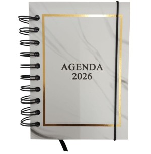 AGENDA ESP.2026 168FLS 14X19CM LISA
