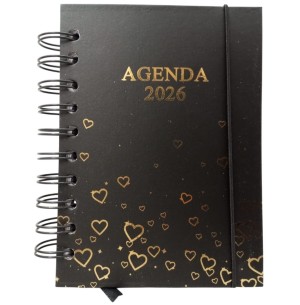 AGENDA ESP.2026 168FLS 14X19CM
