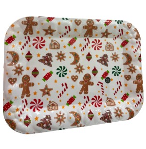 BANDEJA PLÁST.42X31CM RET.