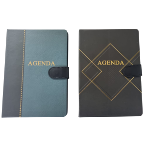 AGENDA PERM.96FLS.13X19CM