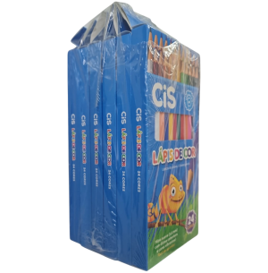 LÁPIS COR SEXT.24 CORES C/6CX