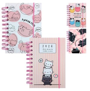 AGENDA ESP.2026 168FLS 11X15CM GATO