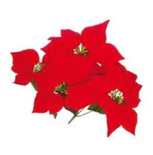 FLOR BICO DE PAPAGAIO X5 VM