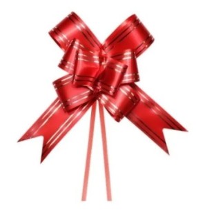 LAÇO EMB.SHE XE 30X480MM LISO